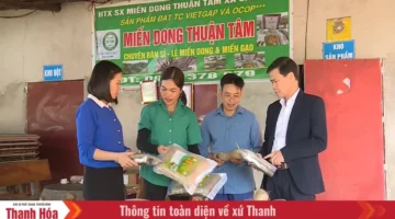 كيف تعزز الموارد المحلية التنمية الاقتصادية للتعاونيات في المناطق الجبلية بمقاطعة ثانه هوا؟